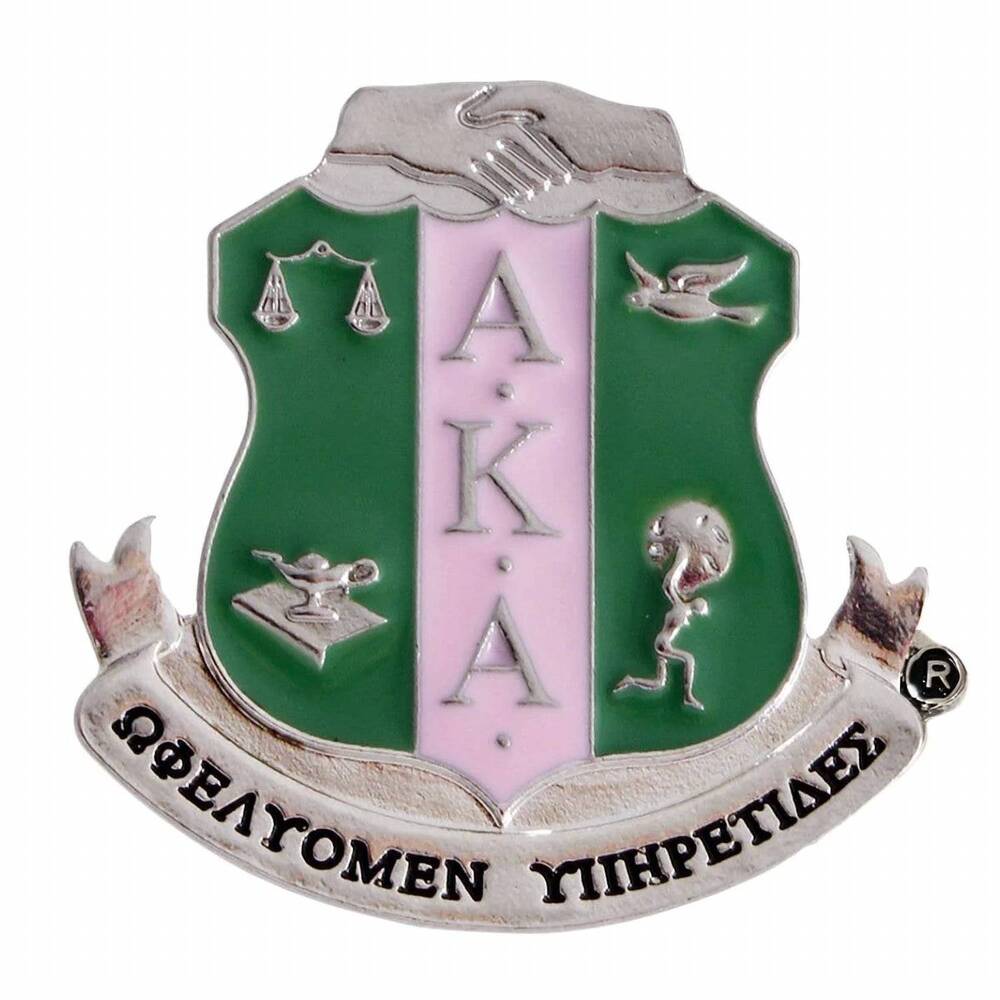 NEW PINKTOWNUSA women's sorority shield brooch in pink/green